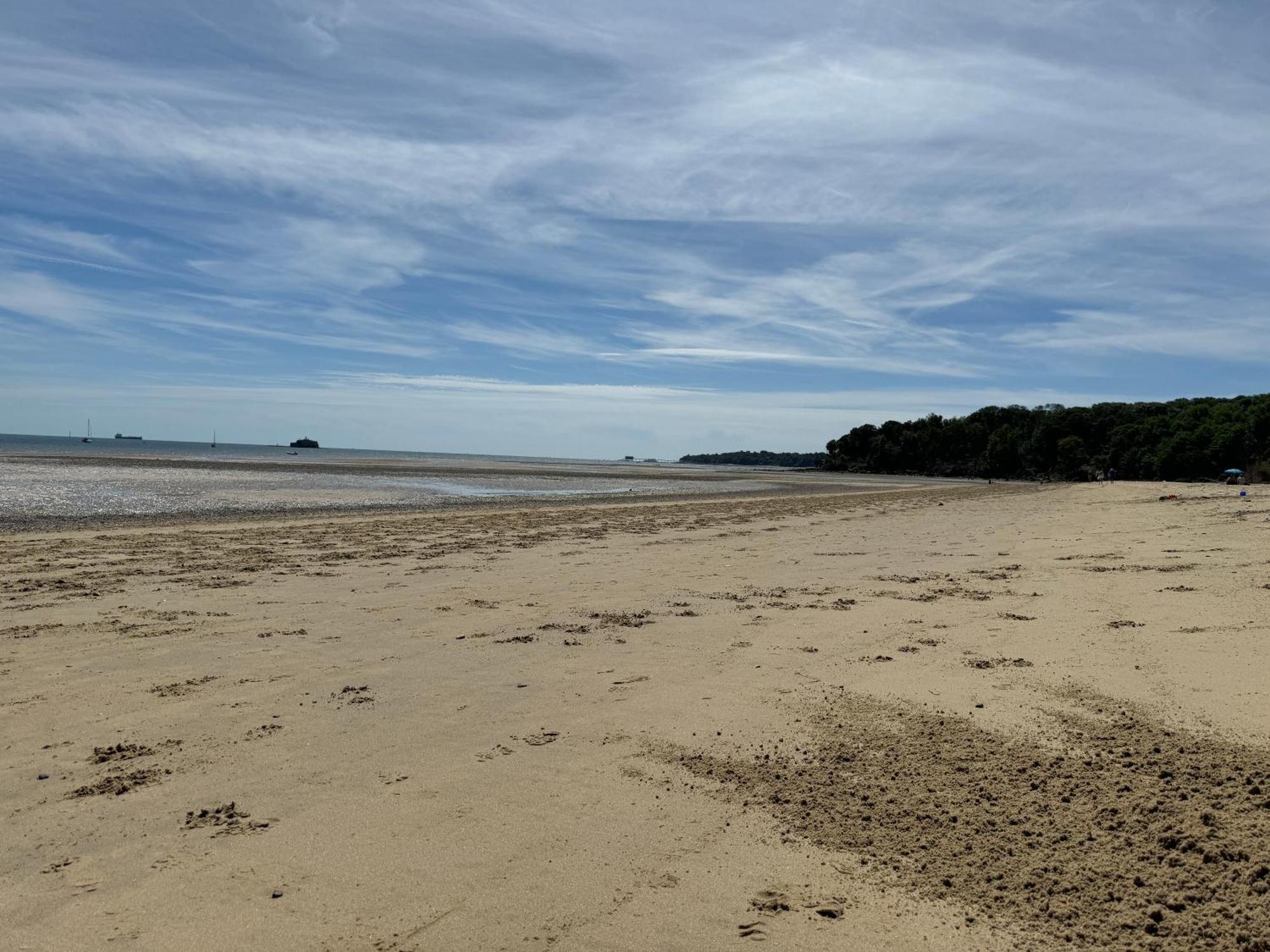 Trafalgar, Lovely Ground Floor Flat With Outside Patio Garden, Minutes Walk To Seafront ซีวิว ภายนอก รูปภาพ